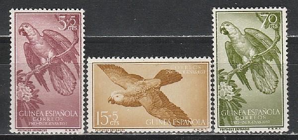 Испанская Гвинея 1957 год. Попугаи. 3 марки